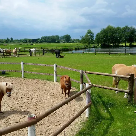 Am Birkensee 55125 * Detern