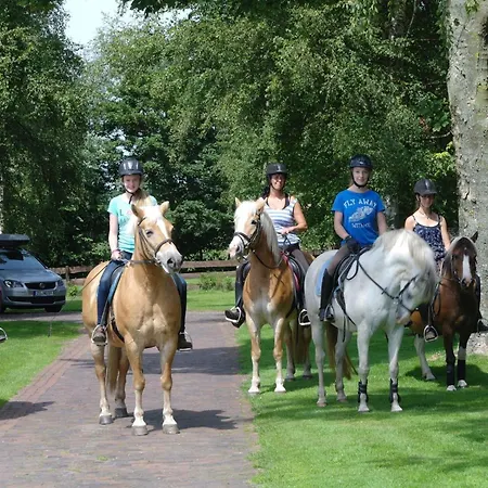 Am Birkensee 55125 شقة *