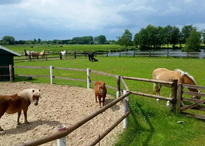 Am Birkensee 55125 * Detern