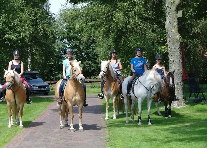 Am Birkensee 55125 Apartamento *